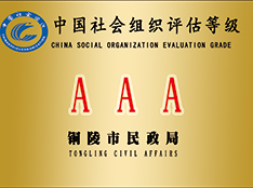铜陵民政局颁发3A社会组织认证